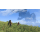 Switch Xenoblade Chronicles: Definitive Edition - 553372 - zdjęcie 4
